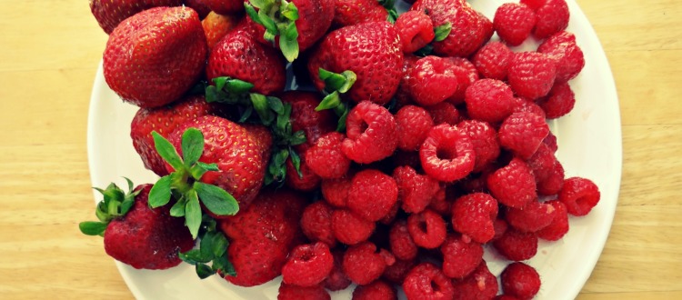 Berry.Shortcake.Berries